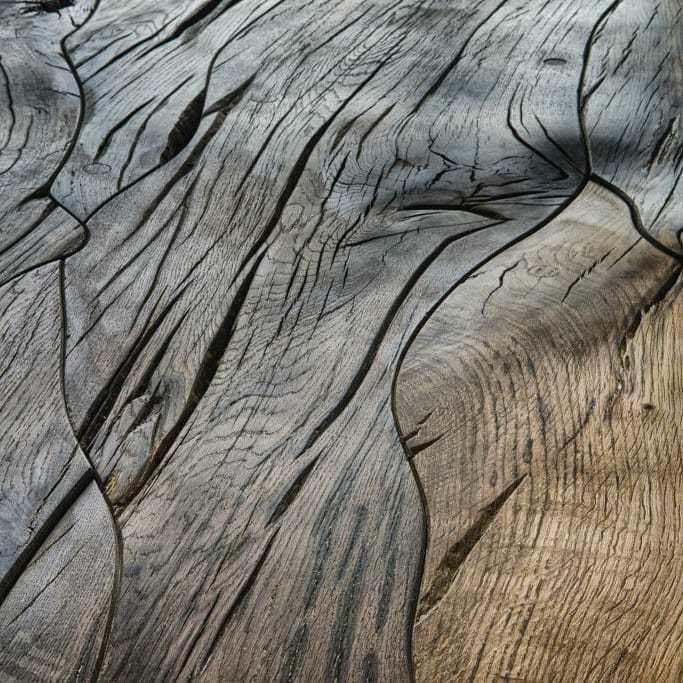 Мореный дуб слэб