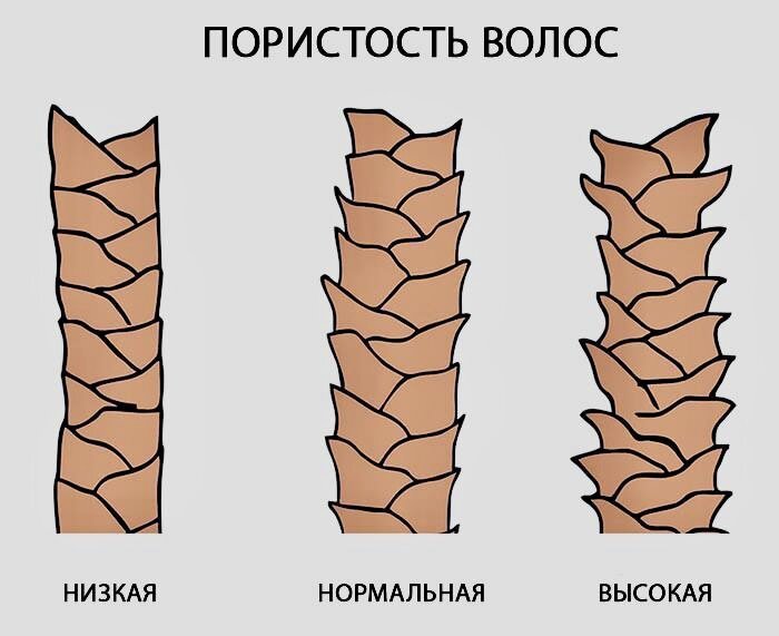 Пористая структура волос