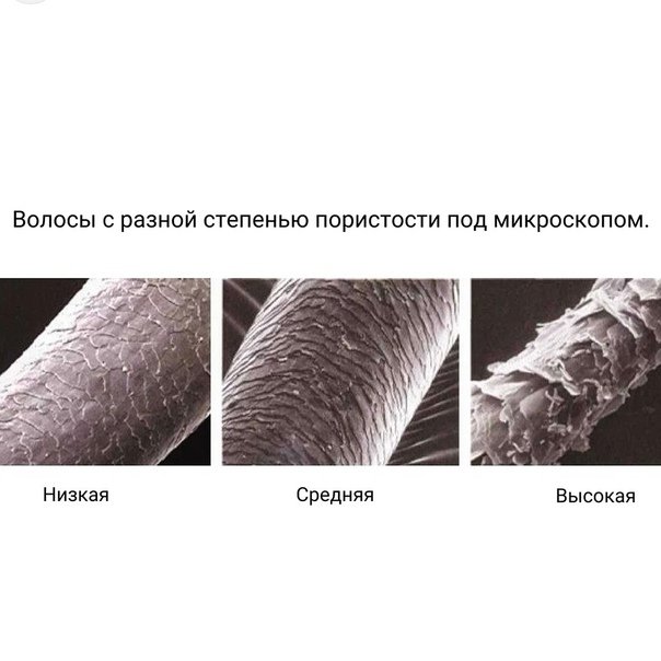 Пористый волос под микроскопом