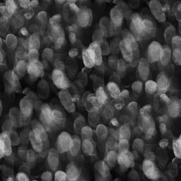 Отпечатки пальцев текстура