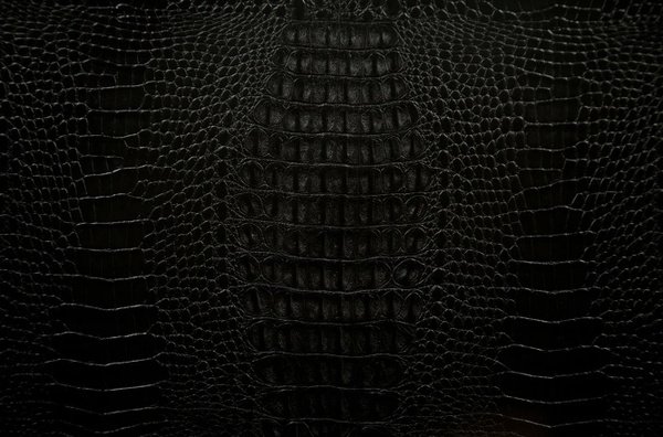 «Кожа крокодила»