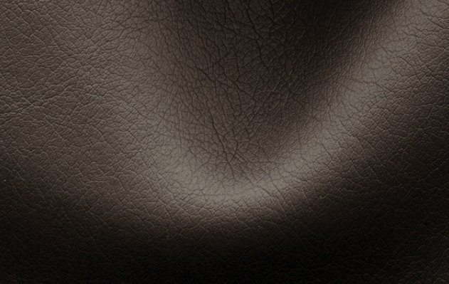 Текстура кожи