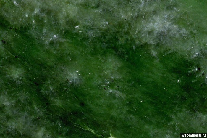 Нефрит стены