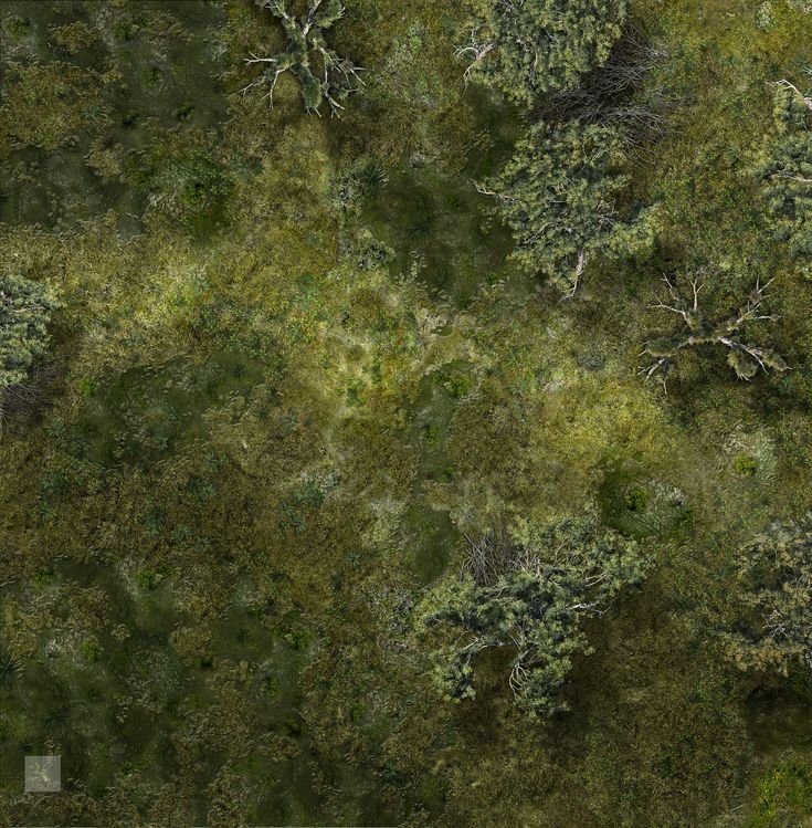 Лес вид сверху