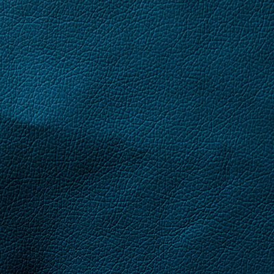 Домус кожзам