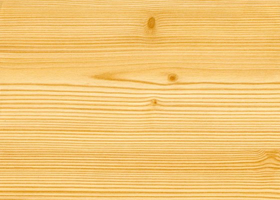 Светлое дерево