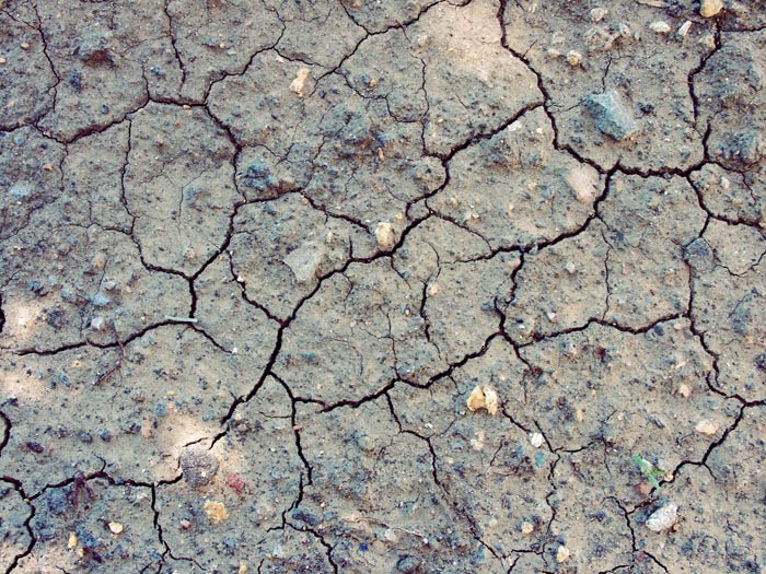 Текстура земли