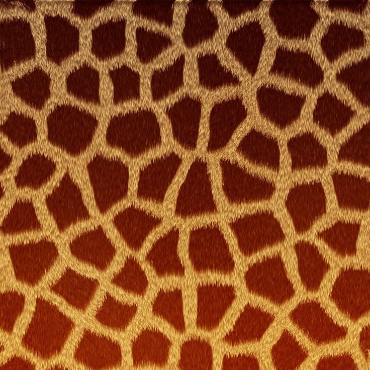 Шкуры животных