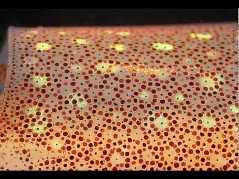 Пигмент под микроскопом