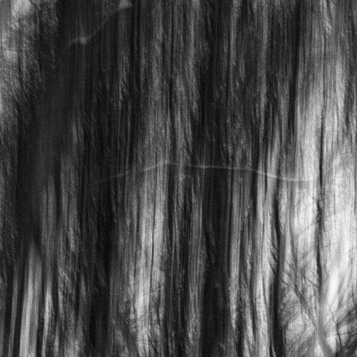 Текстура волос