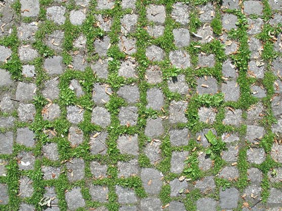 Каменная плитка с травой