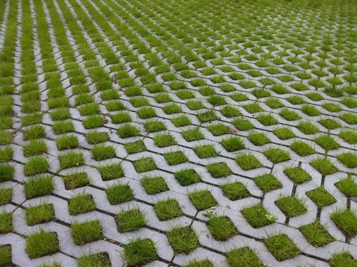 Экопарковка тте