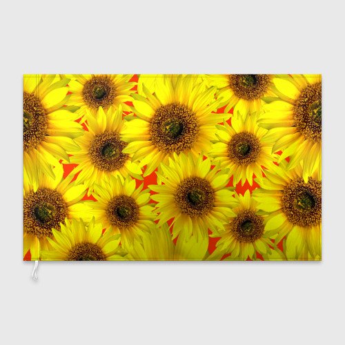 Подсолнухи паттерн