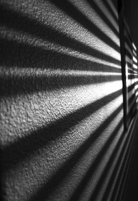 Тень жалюзи