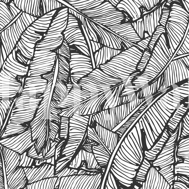 Графика линии