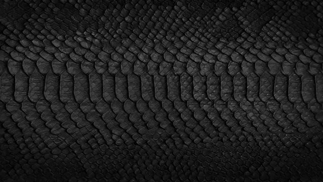 Чешуя Блэк мамбы