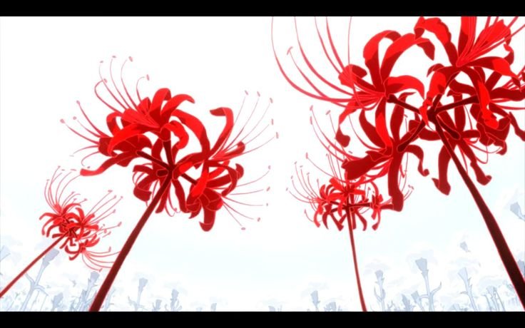 Хиганбана ликорис