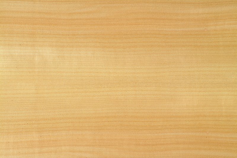 Светлое дерево текстура