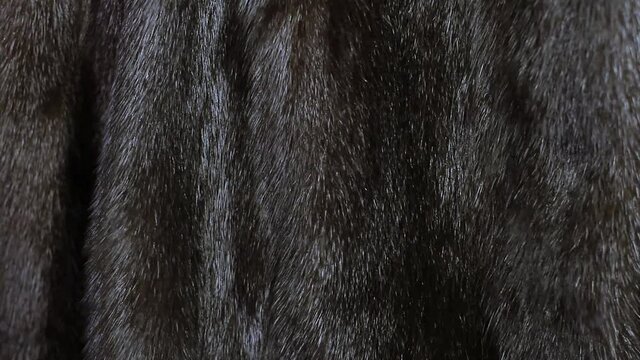 Мех норки текстура