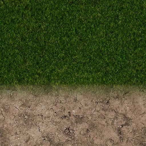 Текстура травы