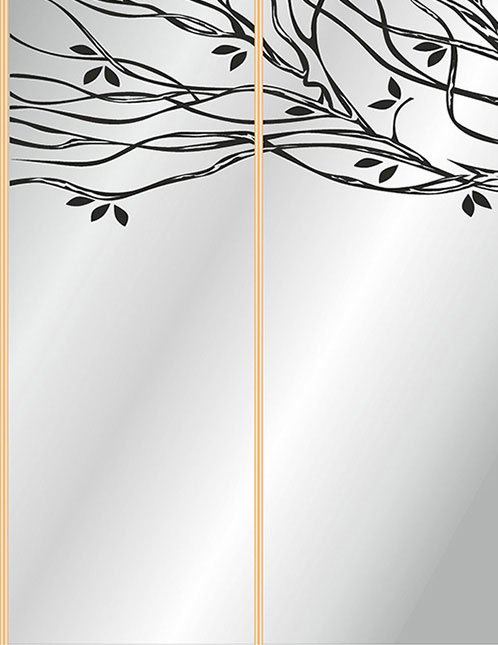 Пескоструй на шкаф купе