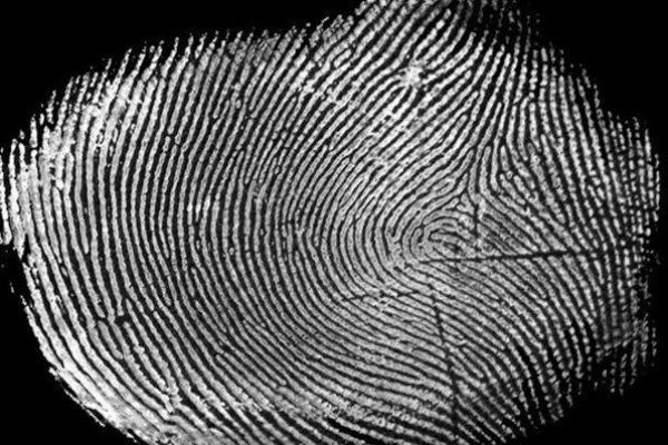 Отпечаток пальца