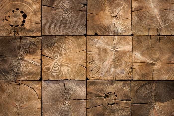 Срез дерева фактура