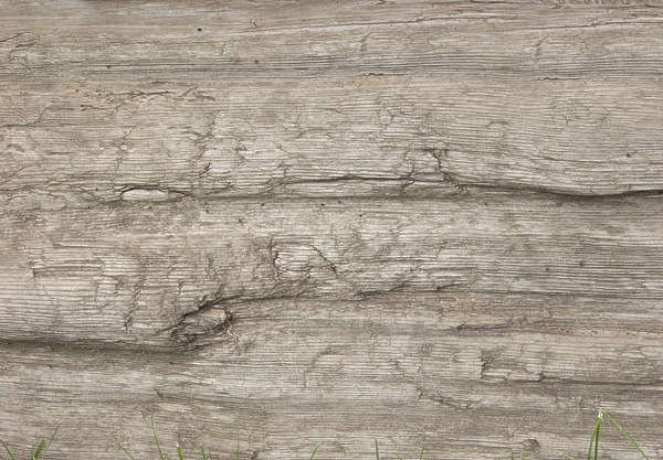 Текстура дерева