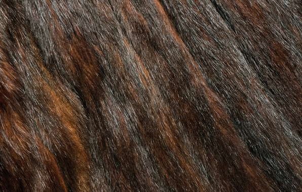 Мех норки текстура