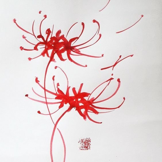 Ликорис Паучья Лилия