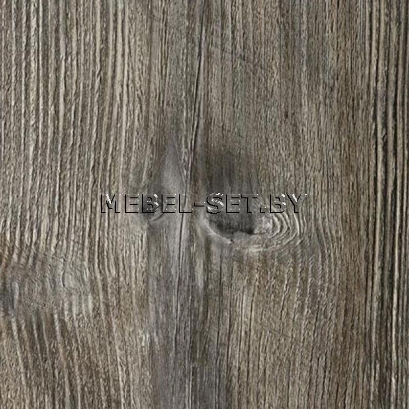 Сосна Пасадена h1486 st36