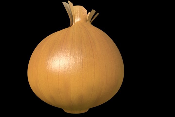 Лук репчатый