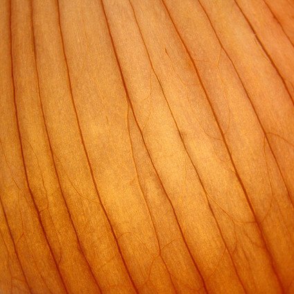 Лук текстура