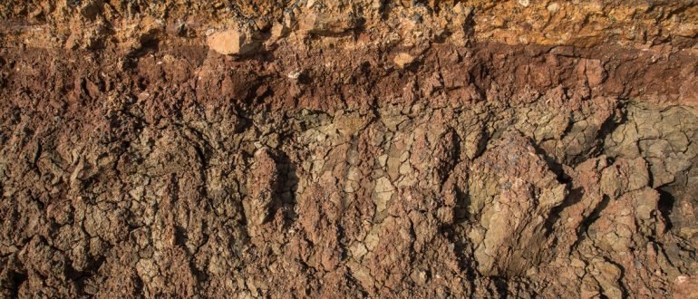 Грунт в разрезе