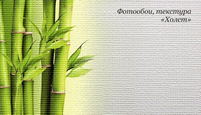 Фотообои фактура холст