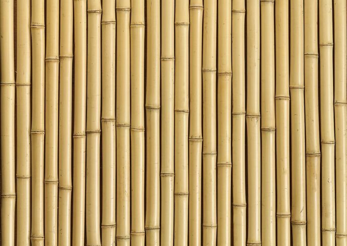 Бамбук текстура