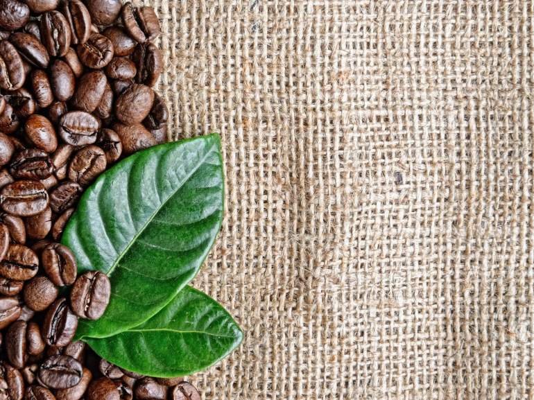 Кофе в зернах