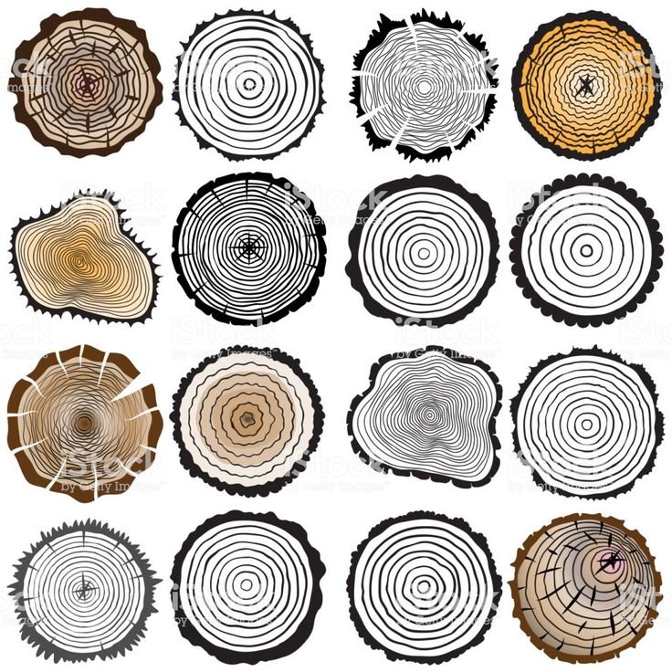 Срез дерева