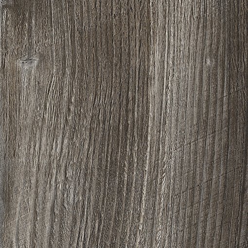 Сосна Пасадена h1486 st36