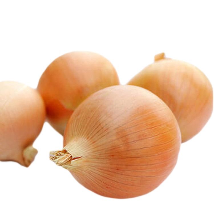 Лук репчатый Бессоновский местный