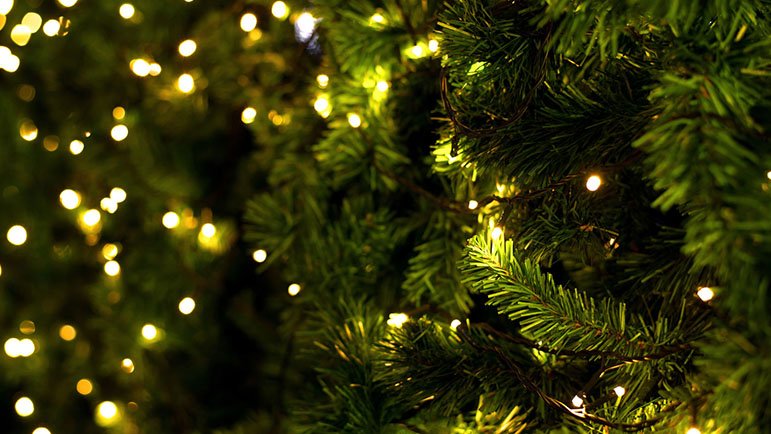 Елка с огоньками