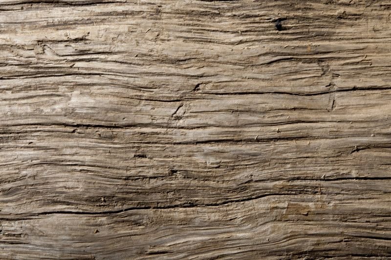 Текстура бревна