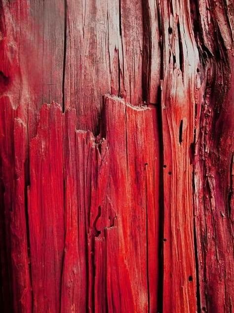 Красное дерево текстура