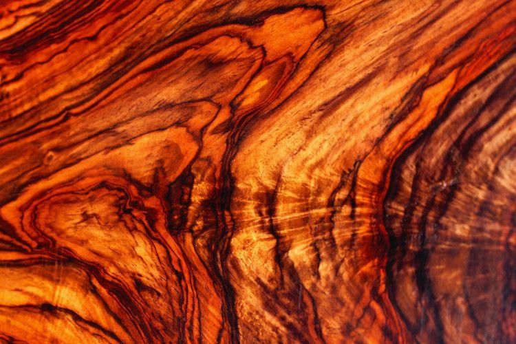 Кокоболо древесина