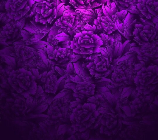 Фиолетовые цветы