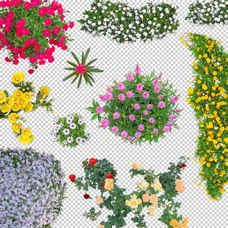 Цветы клумба вид сверху