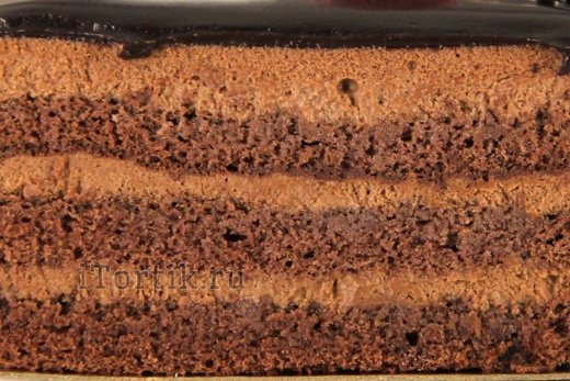 Торт в разрезе