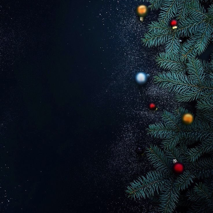 Новогодняя елка на черном фоне