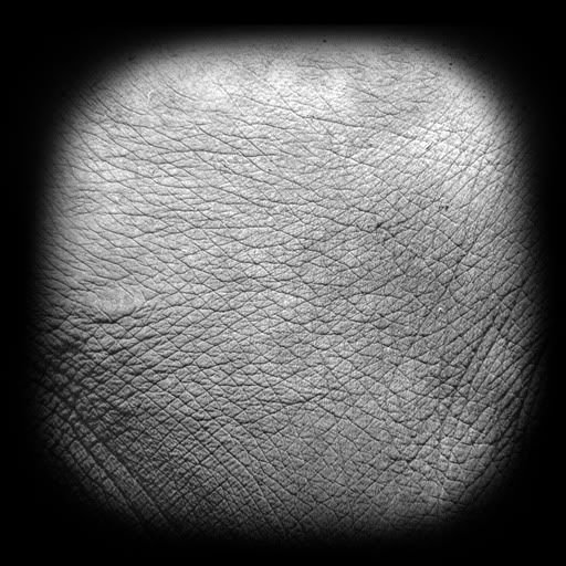 Кожа Zbrush Alpha