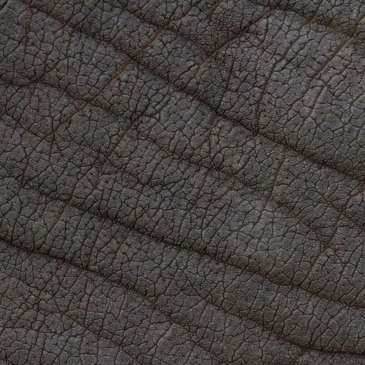 Текстура кожи